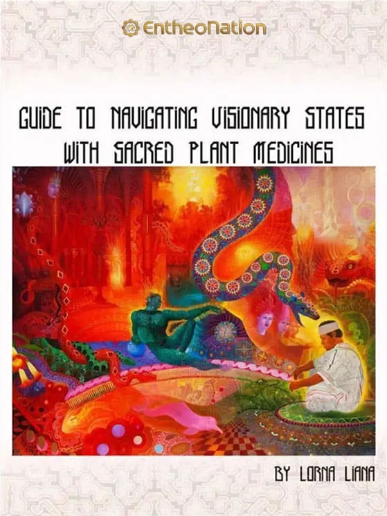 Guide to Navigating Visionary States eBook cover