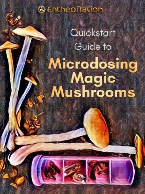 Mushroom-Guide-v2